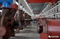 半岛平台在线登入-半岛(中国)被评为2019年度三水区骨干企业